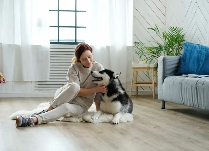 A woman playing with her newly adopted husky at home