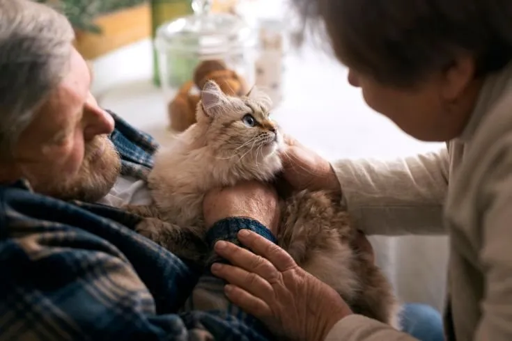 A man cuddling a rescued cat