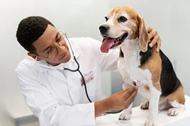 Medical Treatment
